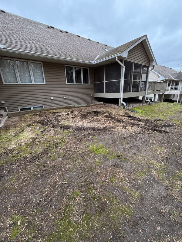Stump Grinding
