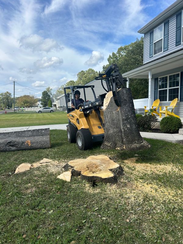 Stump Removal
