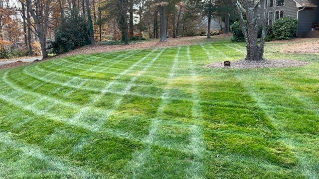 Lawn Care