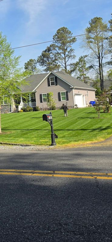 Lawn Maintenance