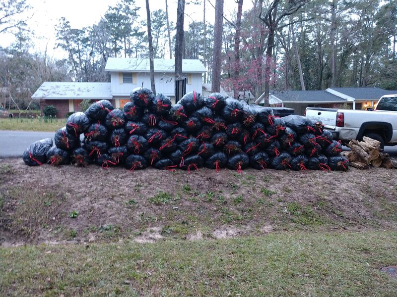 Fall Clean Up