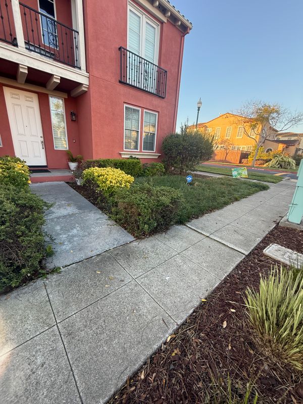Landscaping