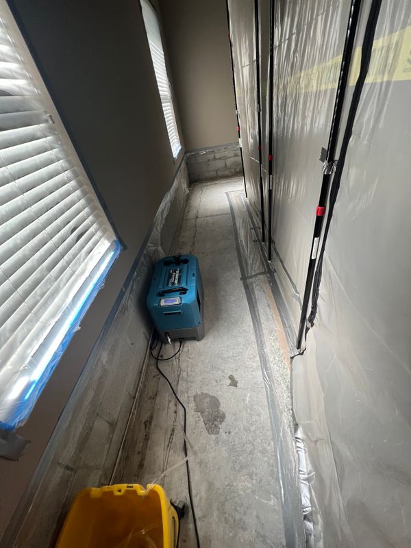 Mold Remediation