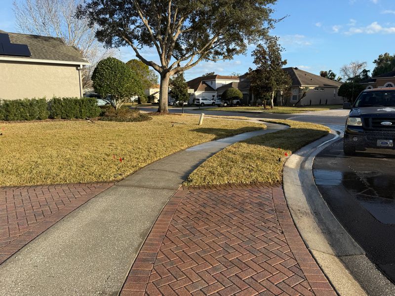 Sod Installation