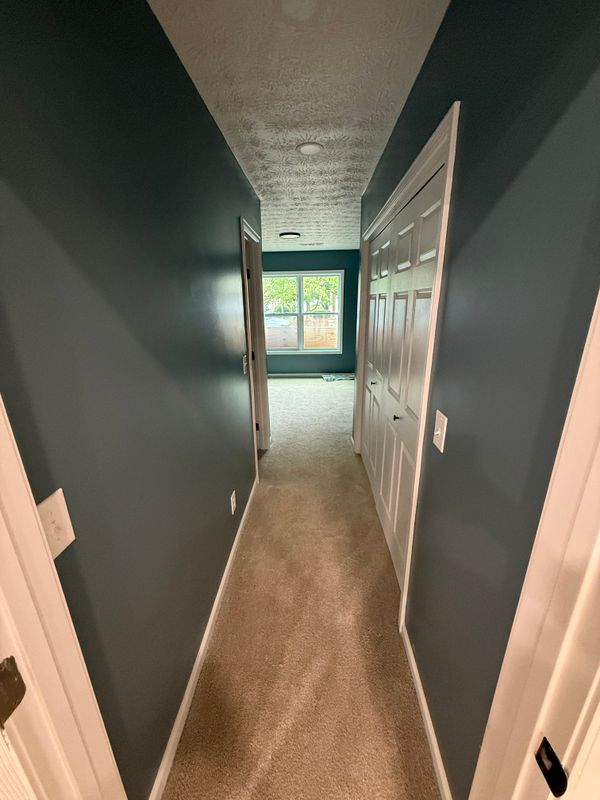 Basement Remodeling
