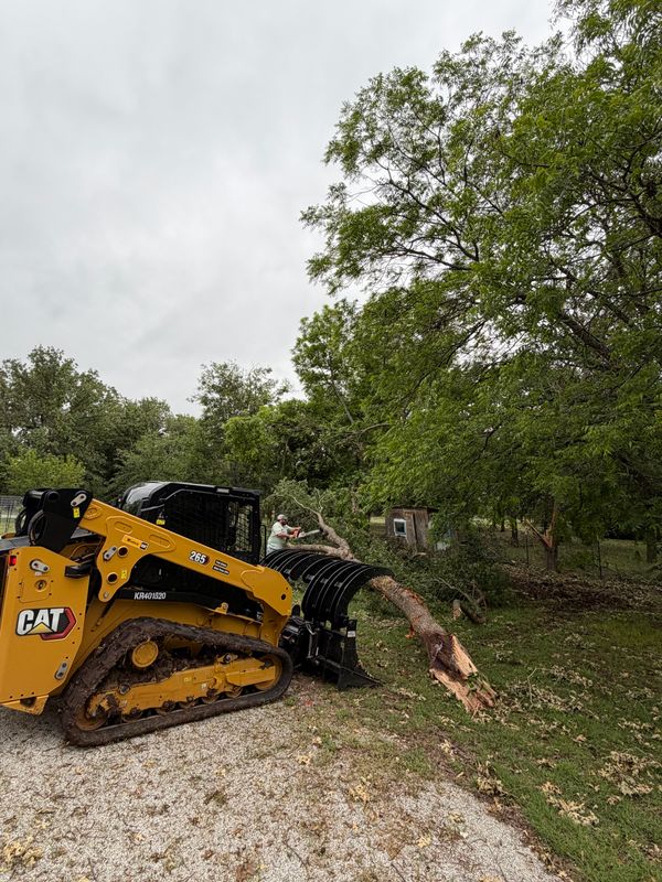 Land Clearing