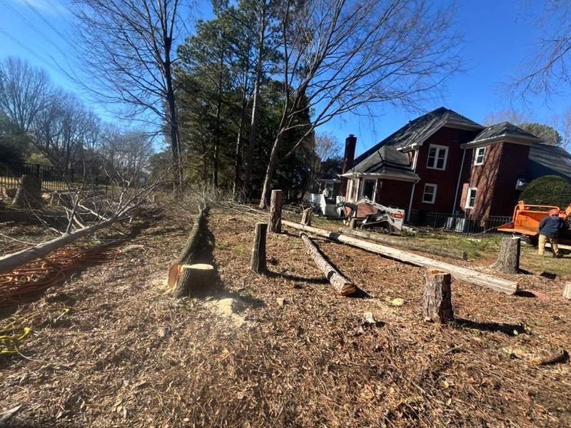 Stump Removal