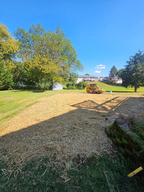 Landscaping & Hardscaping