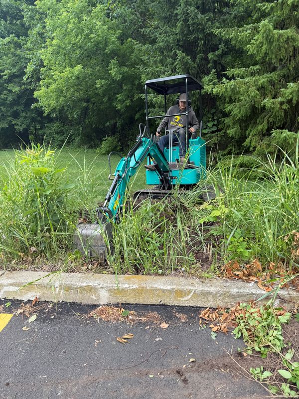 Lawn Maintenance