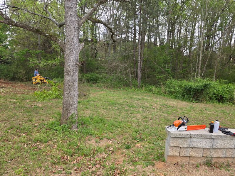 Lawn and Landscape Services