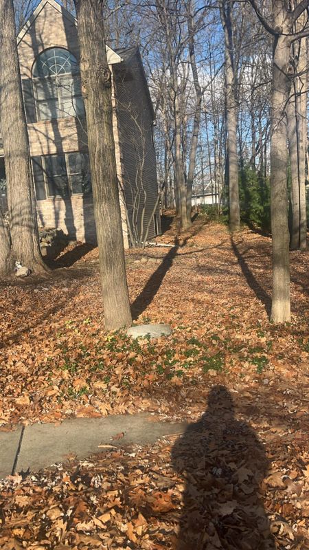 Debris Removal
