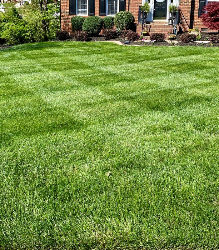 Fertilization and Weed Control Programs