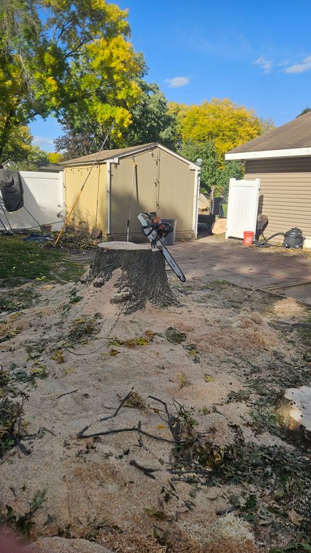 Tree Removal