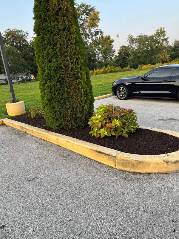 Mulch Installation