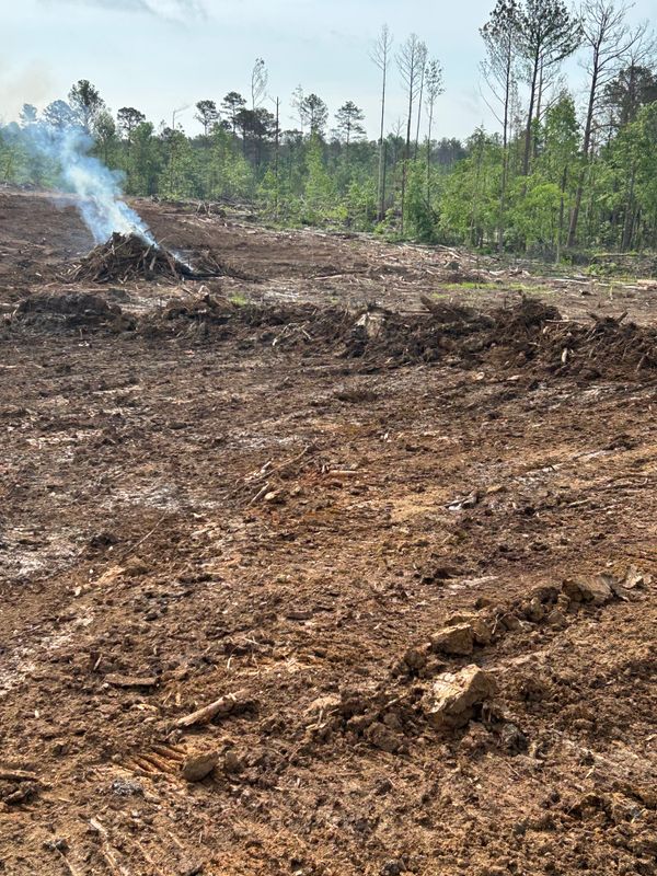Land Clearing