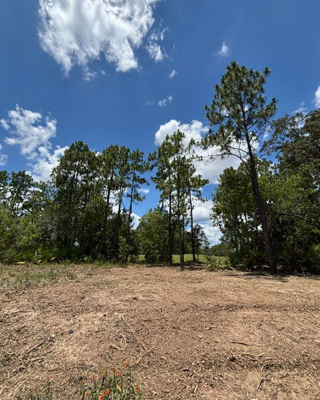 Site Preparation
