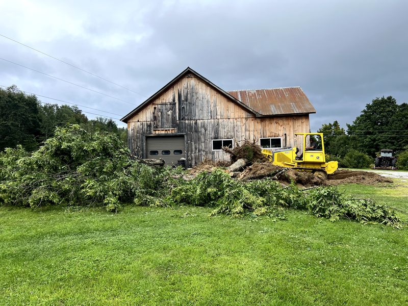 Dangerous Tree Removal