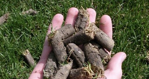 Lawn Renovations-Seed, Aerate, Dethatch, Topdressing