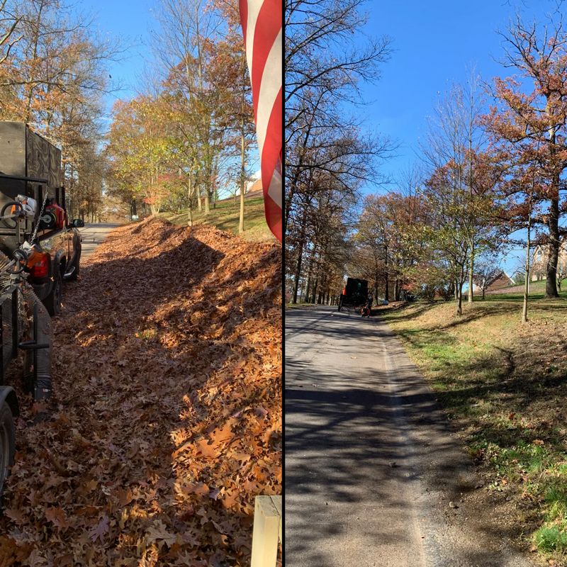 Fall Clean Up