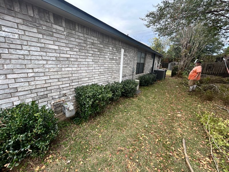 Shrubbery trimming and removal