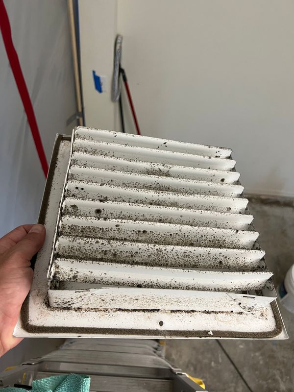 Mold Remediation