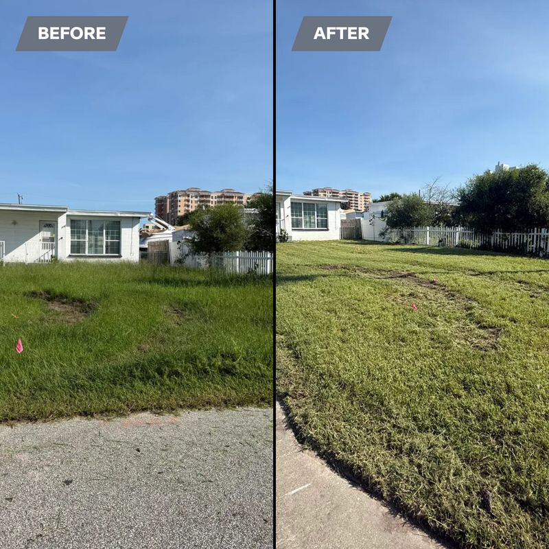 Lawn maintenance