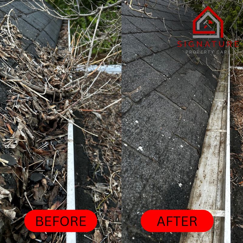 Gutter Cleaning & Repair
