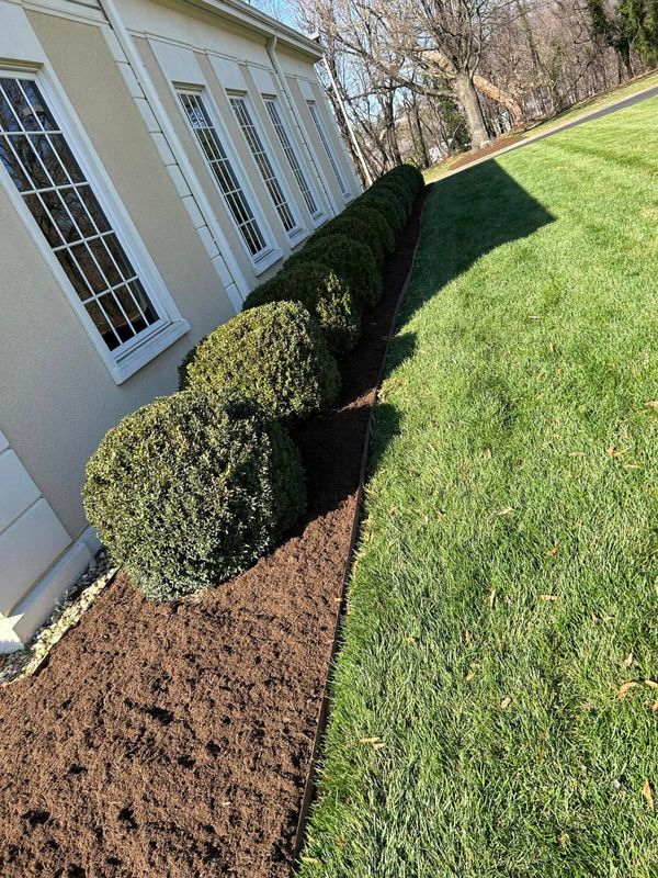 Shrub and Hedge Care