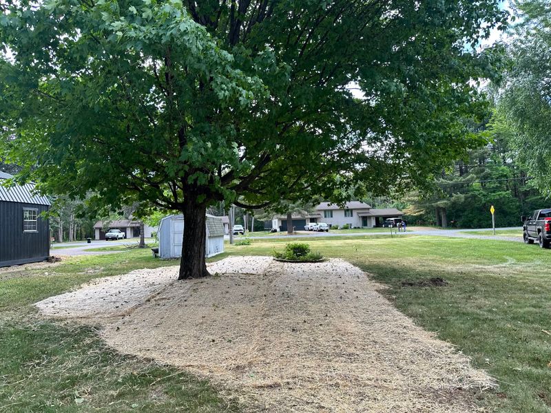 Hardscape Installation