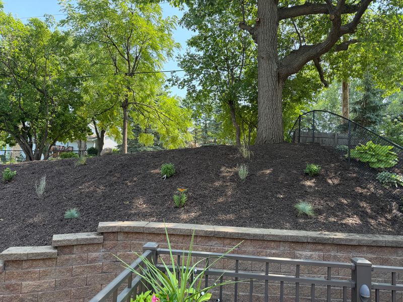 Landscape Installation