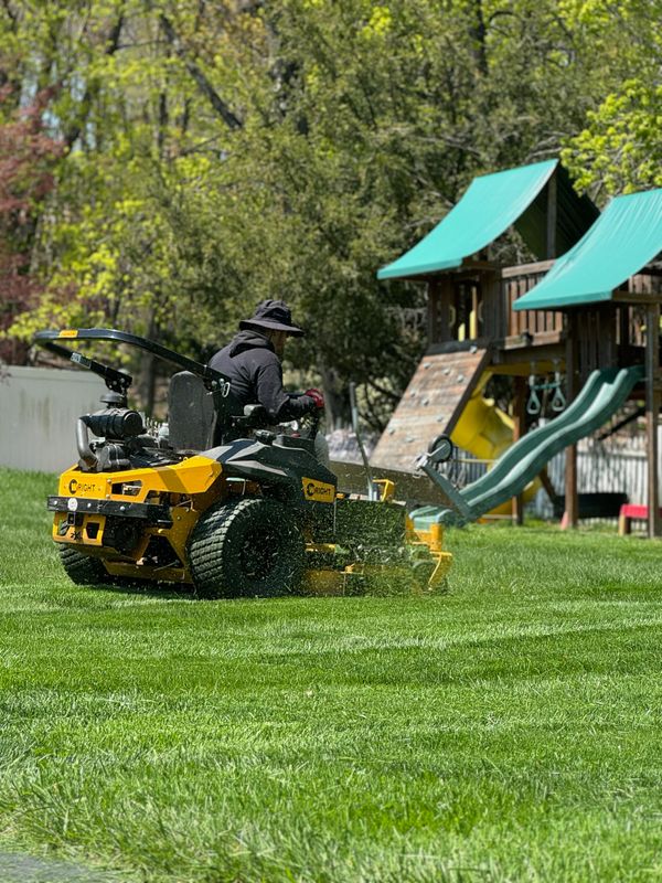 Lawn & Turf Maintenance 