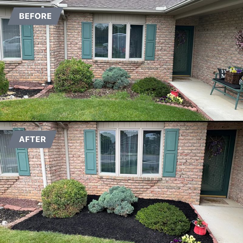 Shrub Trimming