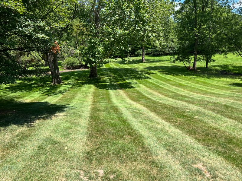 Mowing