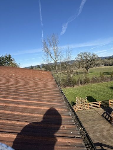 Roof Cleaning