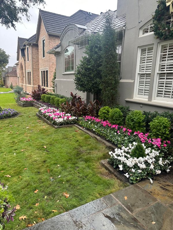 Lawn Care