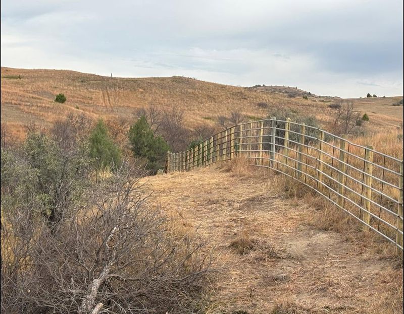 Fencing Installation