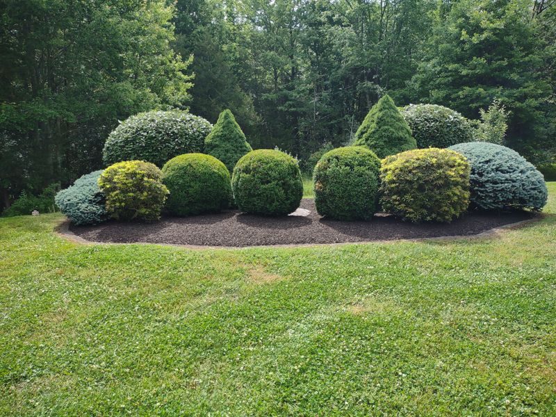 New Landscapes