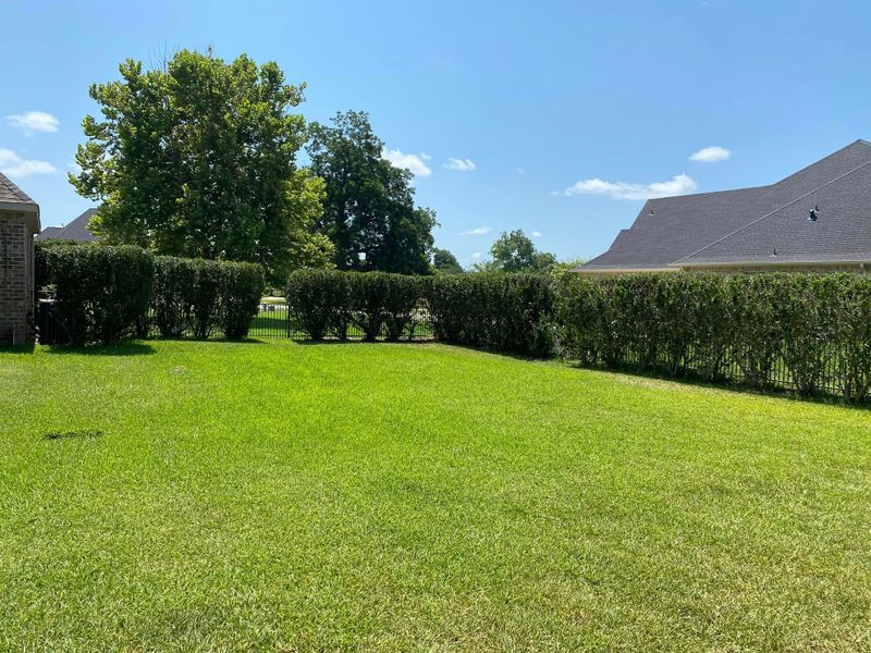 Shrub Trimming