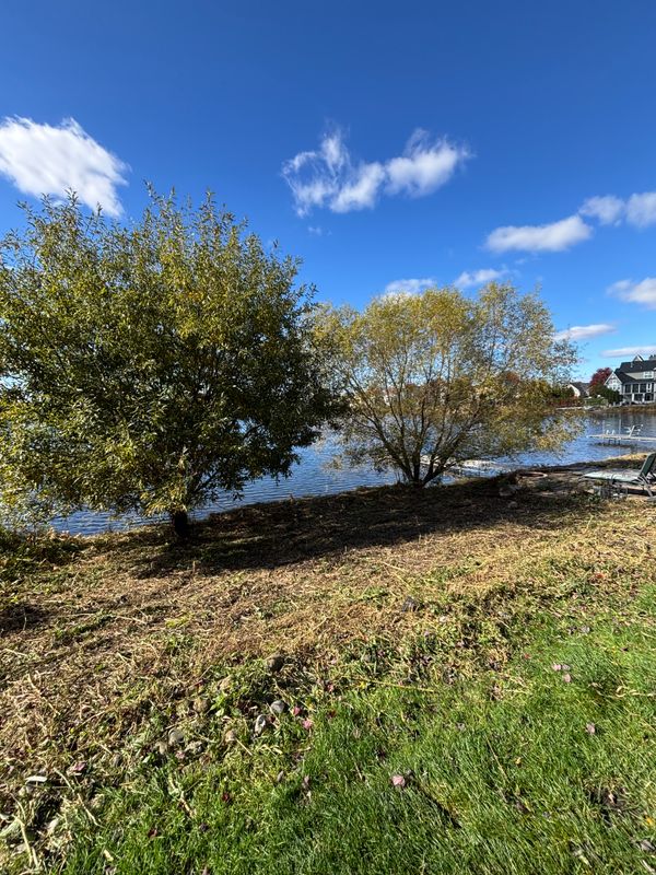 Shoreline Restoration