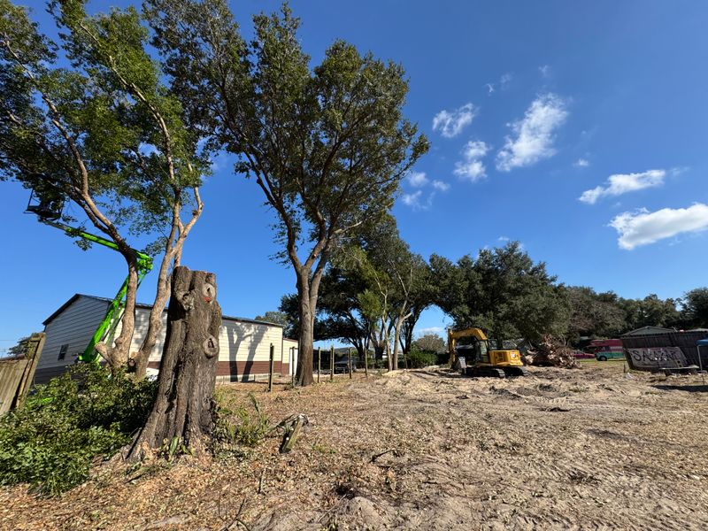 Land Clearing