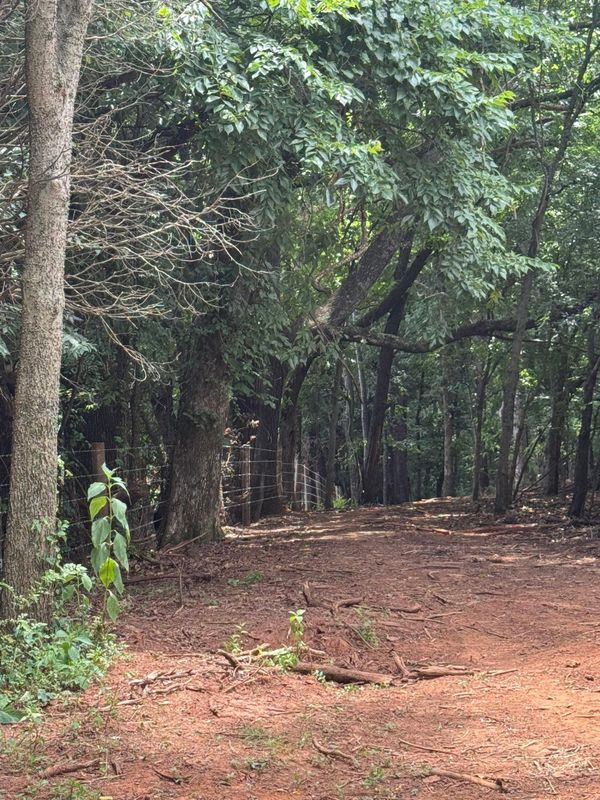 Land Clearing