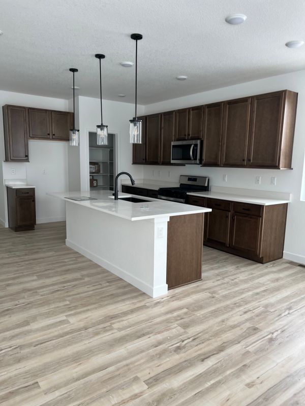 Kitchen Renovation