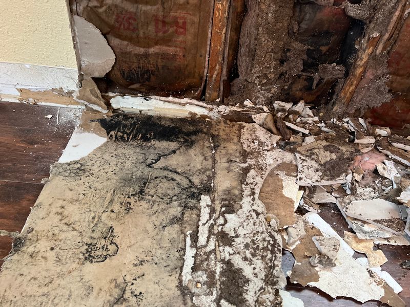 Mold Remediation