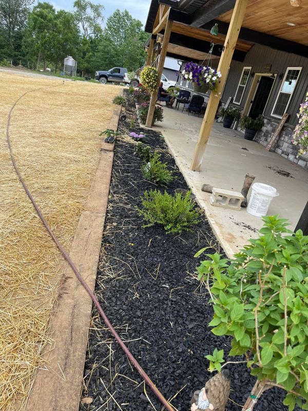 Mulch Installation