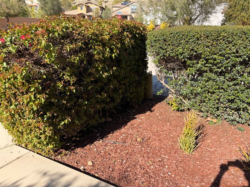 Backyard & Exterior Remodels