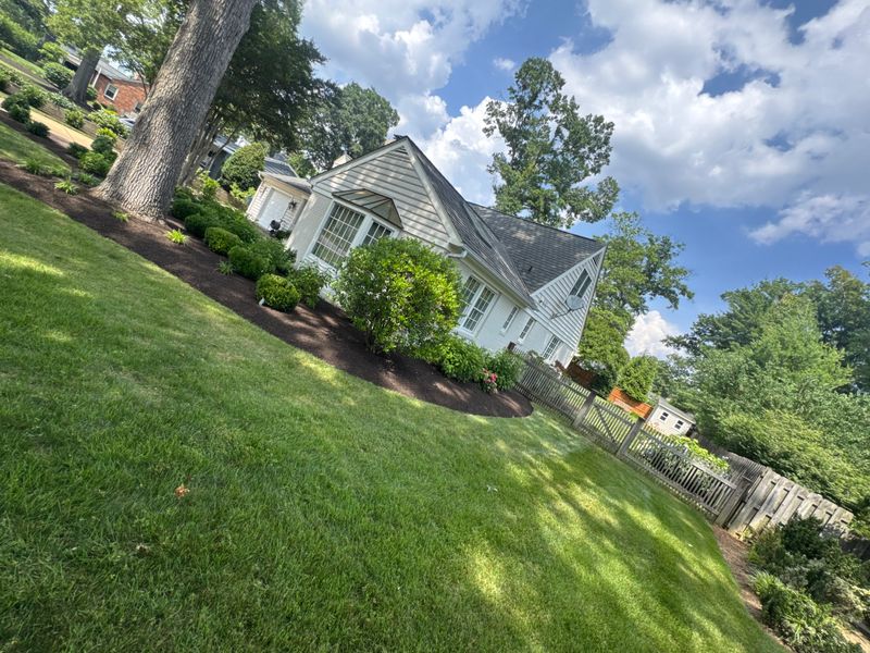 Lawn Care & Maintenance