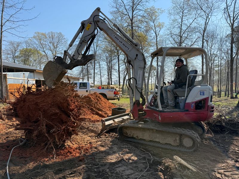 Stump Removal