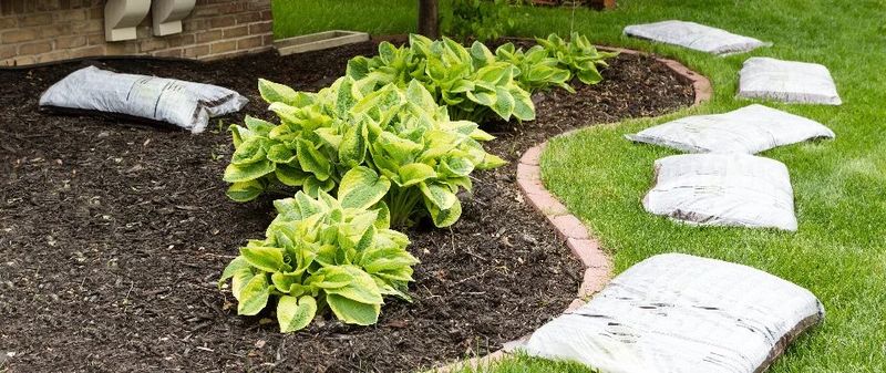 Landscape Design