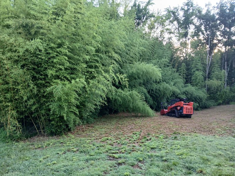 Forestry Mulching