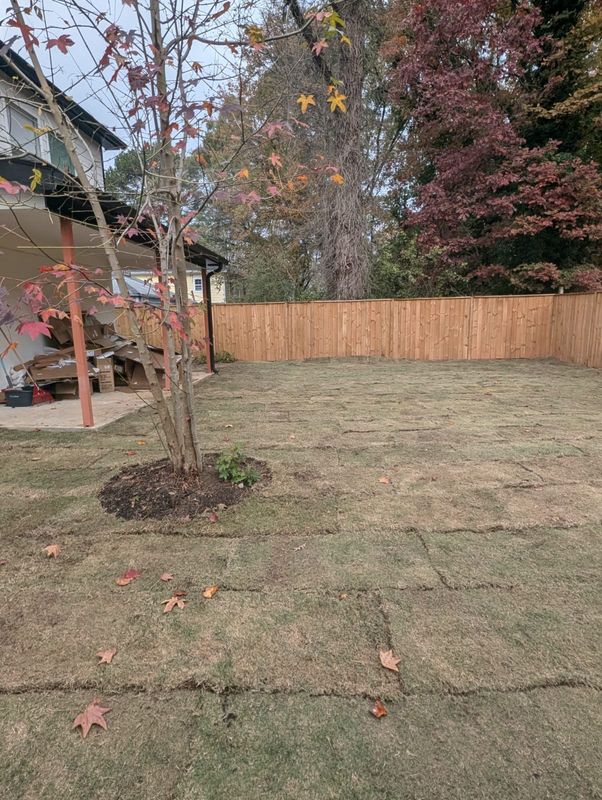 Sod  Installing